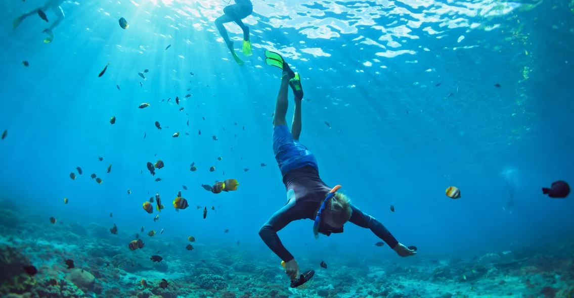 Los 10 mejores libros de buceo - Guías Deportivas